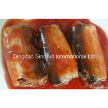 125g Canned Sardine in Tomato Sauce with Chilli